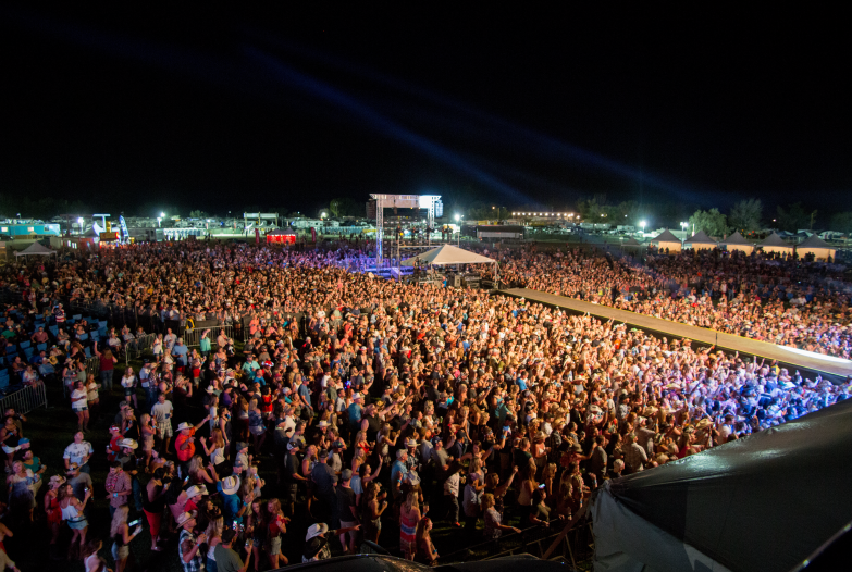Night in the country crowd image