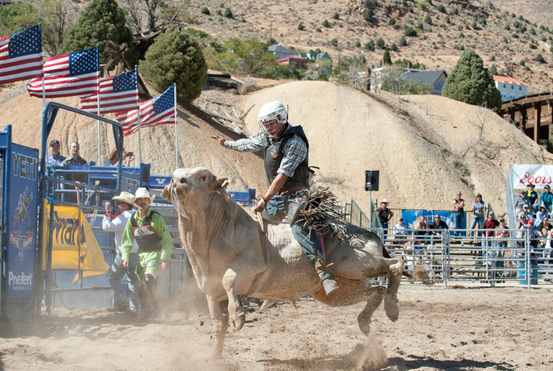 VC Rodeo Bull Riding Image 